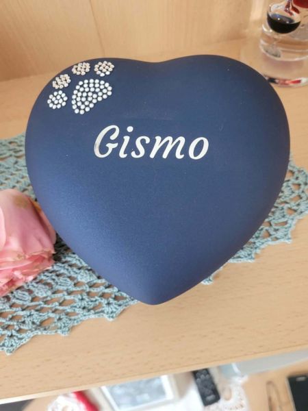 tl_files/Rueden/Gismo aus D bei Lampert/Herz.jpg